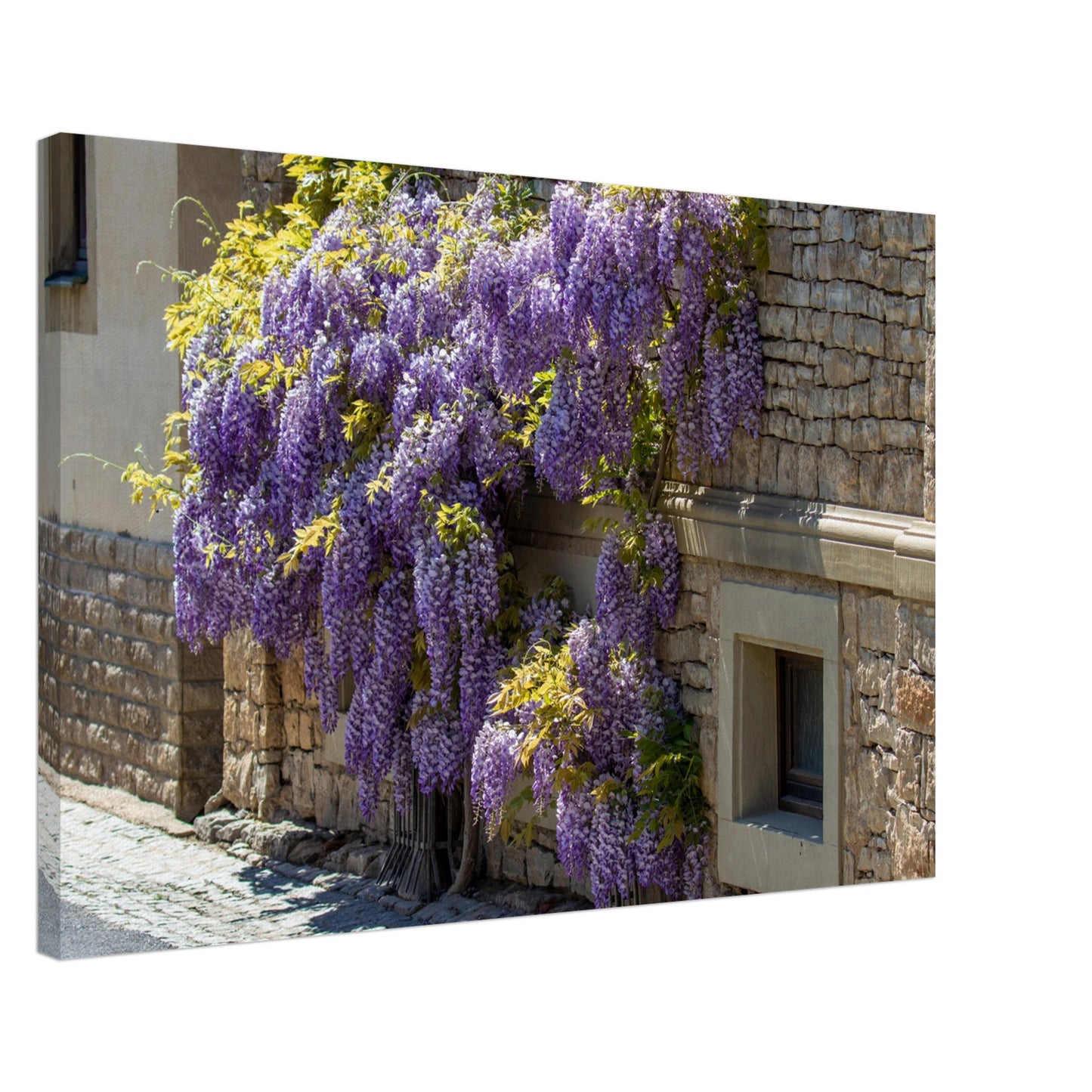 07ecbe84-28e7-439a-b9d6-1c9121261b1d