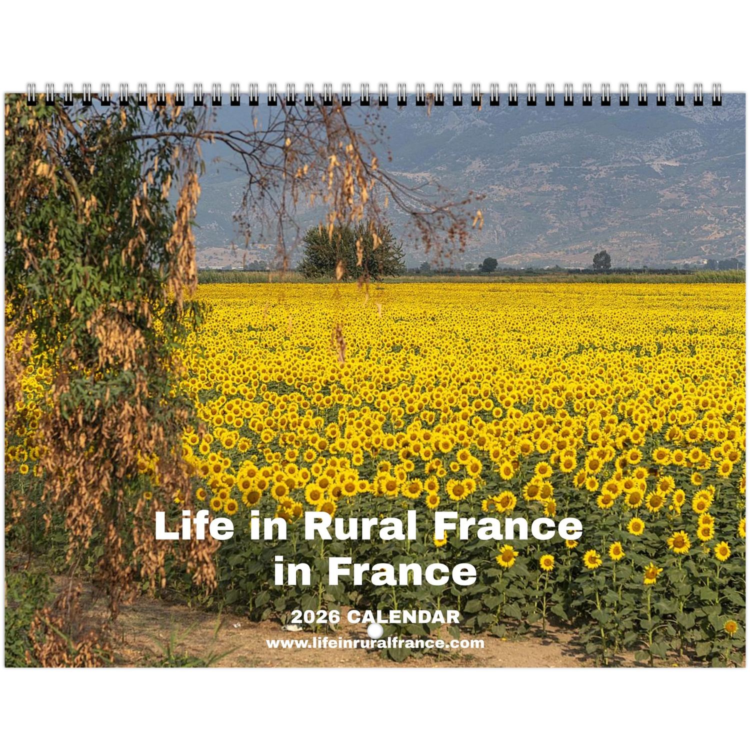 0ad7af83-293e-4ffb-88c6-5b1b1f6145ee