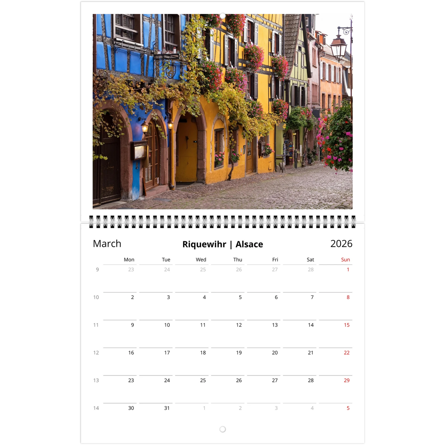 0fc72dcc-9a08-4ba9-a5ed-20807b44e4a4