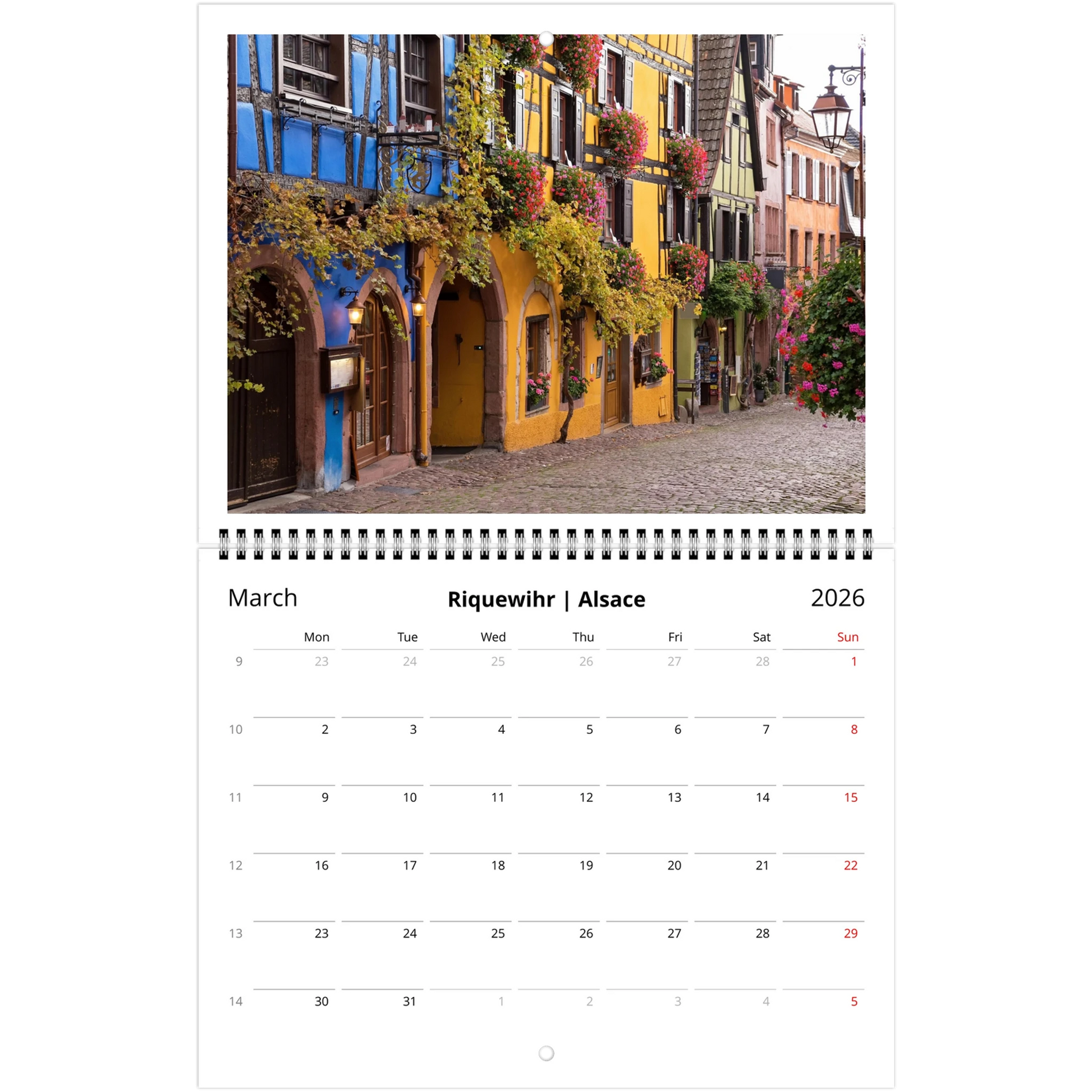 0fc72dcc-9a08-4ba9-a5ed-20807b44e4a4