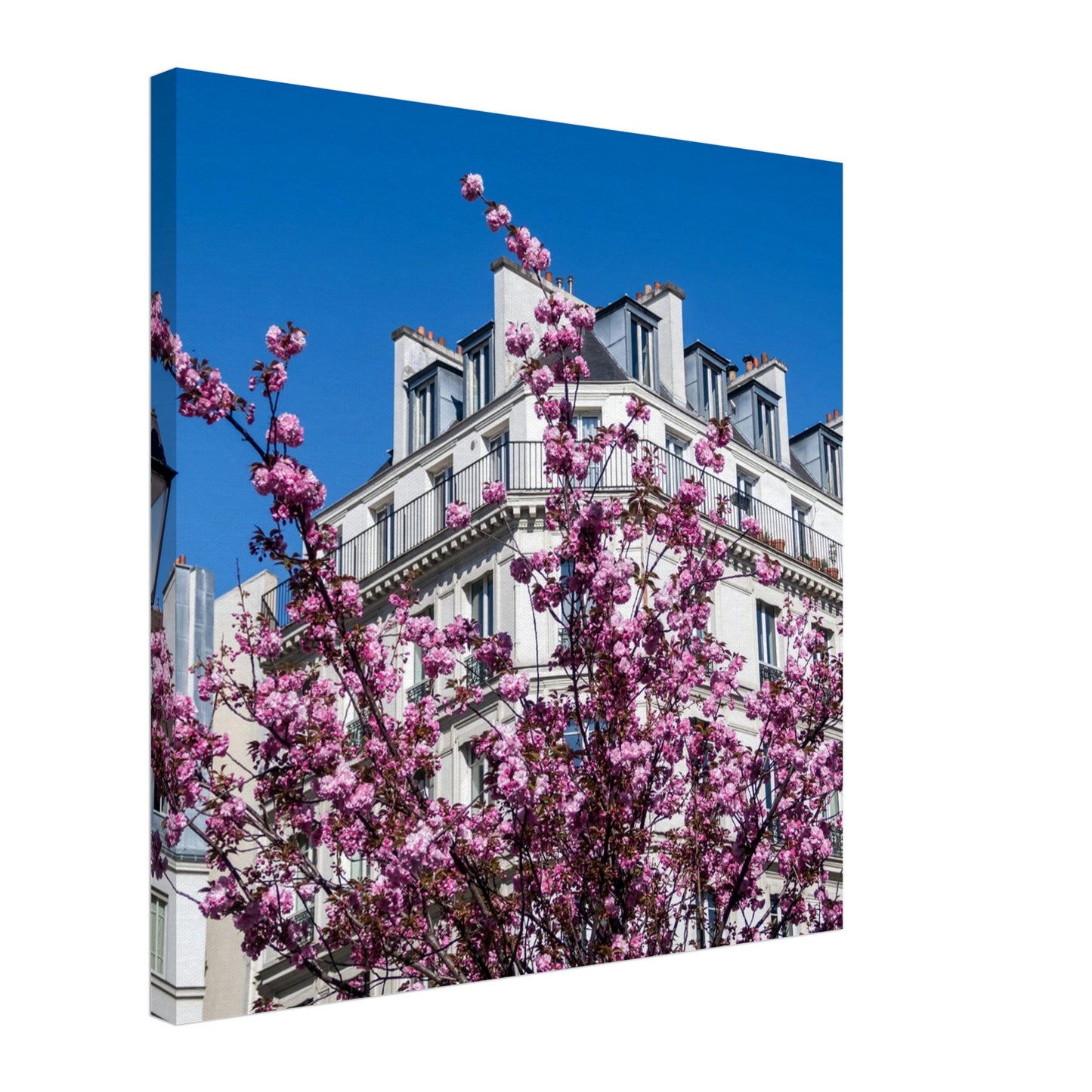 19872183-5fa8-47f0-ae62-c7728a056316