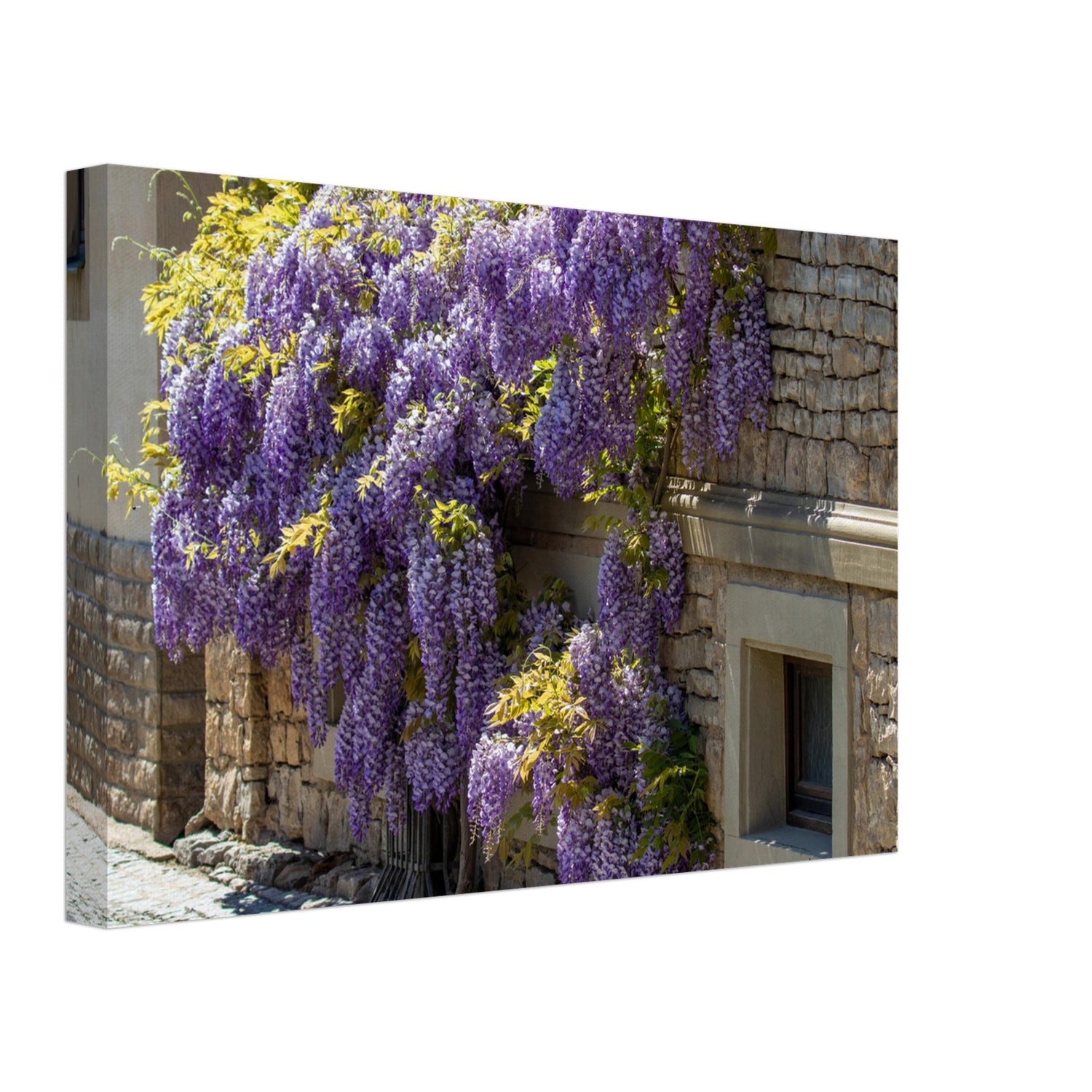 1d24d62e-4a4b-4ff3-8e2a-91d8f48d07e9