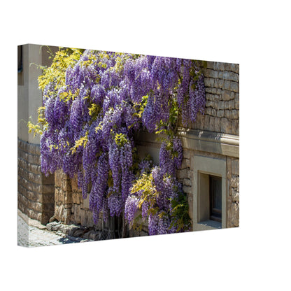 1d24d62e-4a4b-4ff3-8e2a-91d8f48d07e9