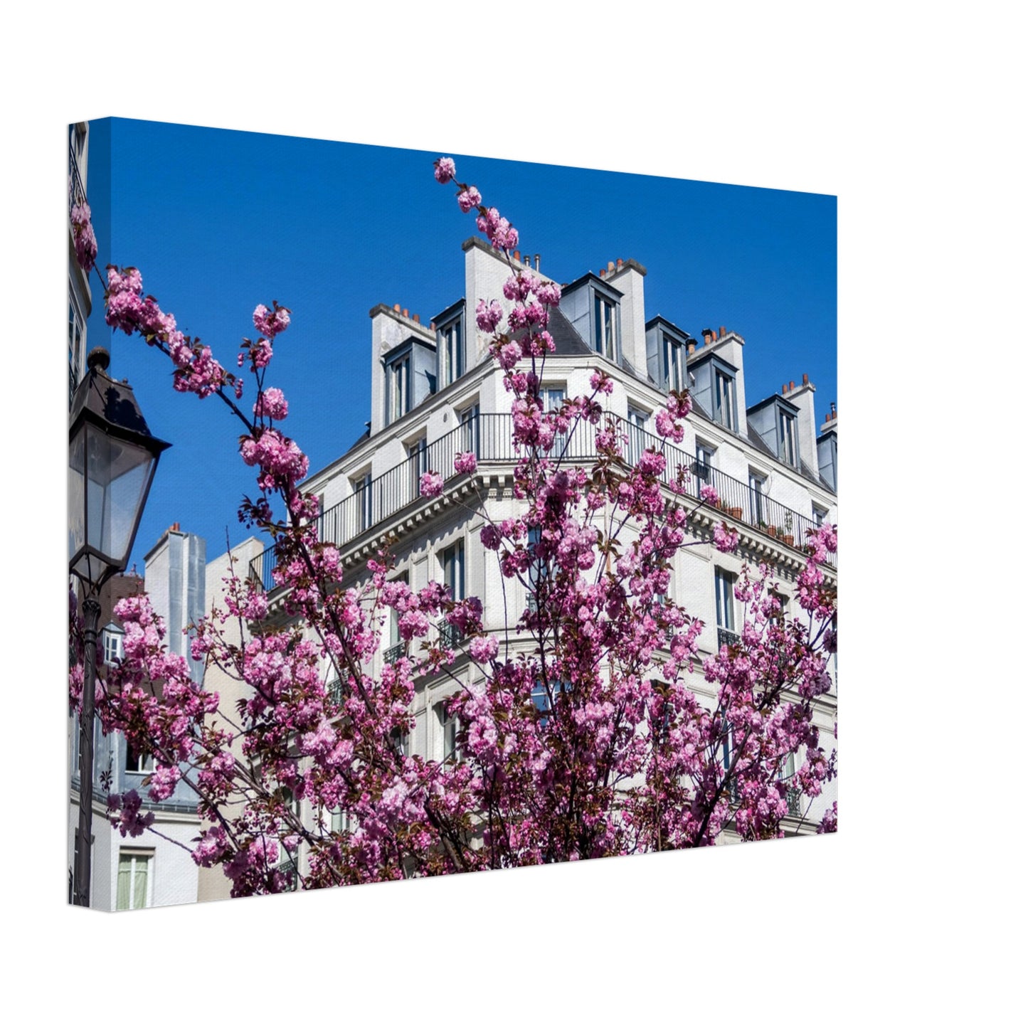 1e3cb122-7521-47d4-82e5-8d66162ad74e