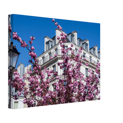 1e3cb122-7521-47d4-82e5-8d66162ad74e