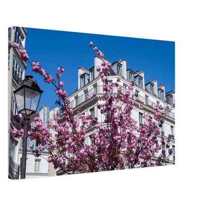 1eefaaac-f60f-4d7b-9d3c-c60d415b4de2