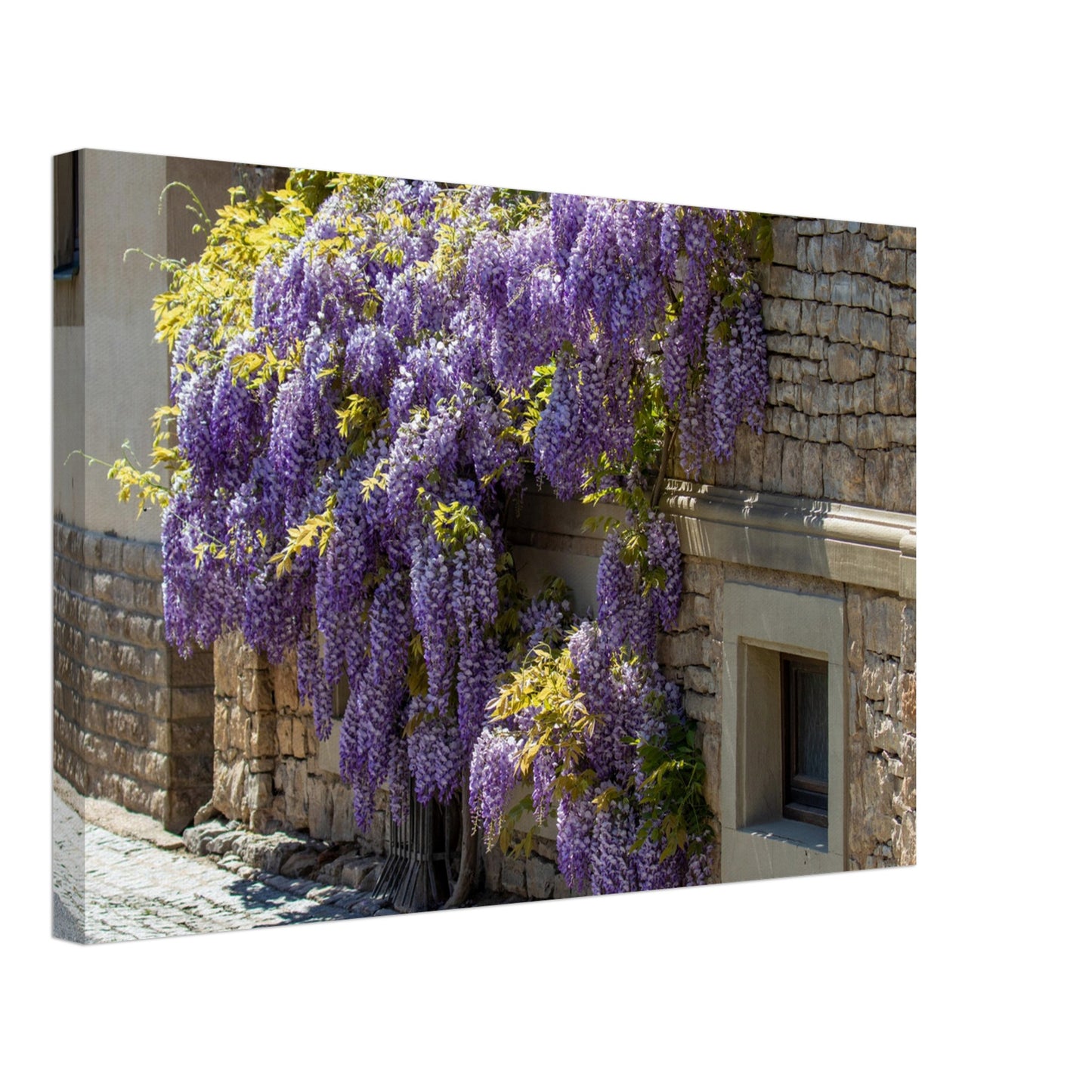 2199826b-9b94-48b8-8428-94176e589938