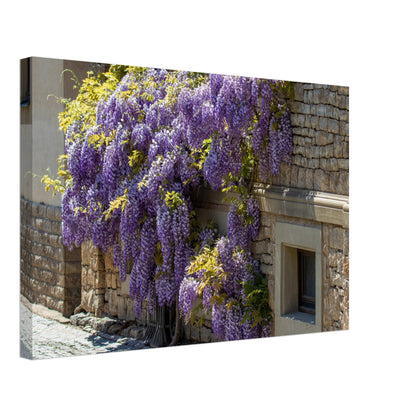 2199826b-9b94-48b8-8428-94176e589938