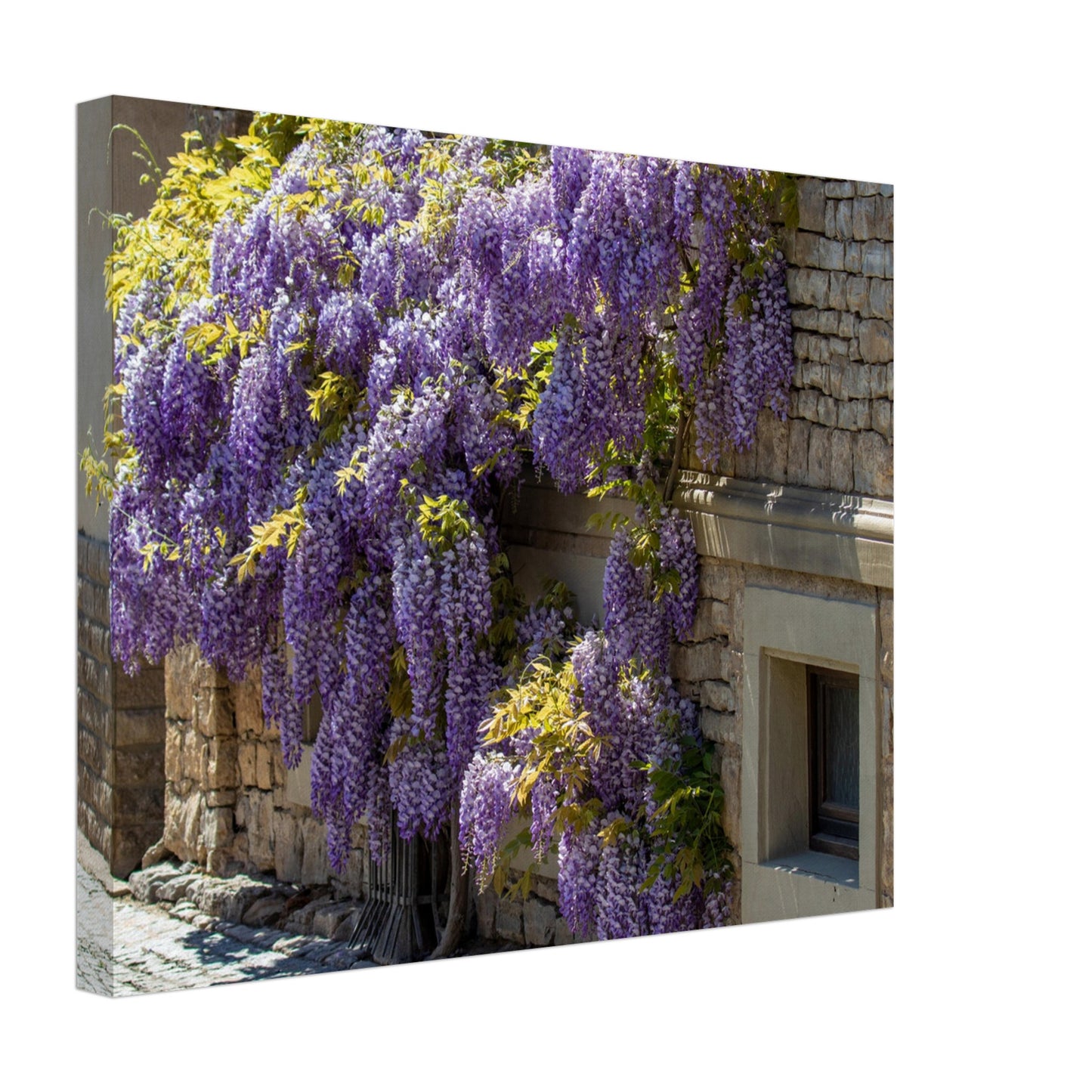 2361e646-592d-43d4-b7dc-64aeca4bd617