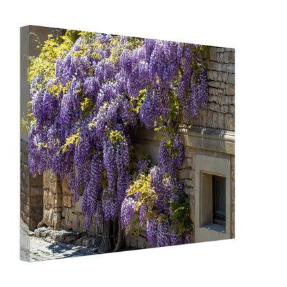 2361e646-592d-43d4-b7dc-64aeca4bd617