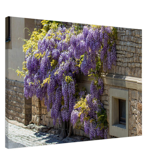 25c0b979-4e77-4504-8928-4b47d62b2a1a