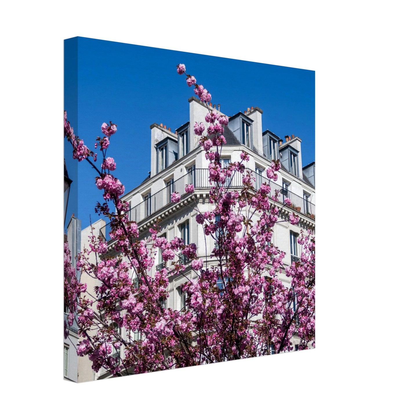 25d904a4-9ad6-46cf-907d-25c94af94bad