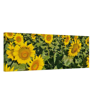 278b7faf-d117-4699-b7e1-e6bbf8eaaaec