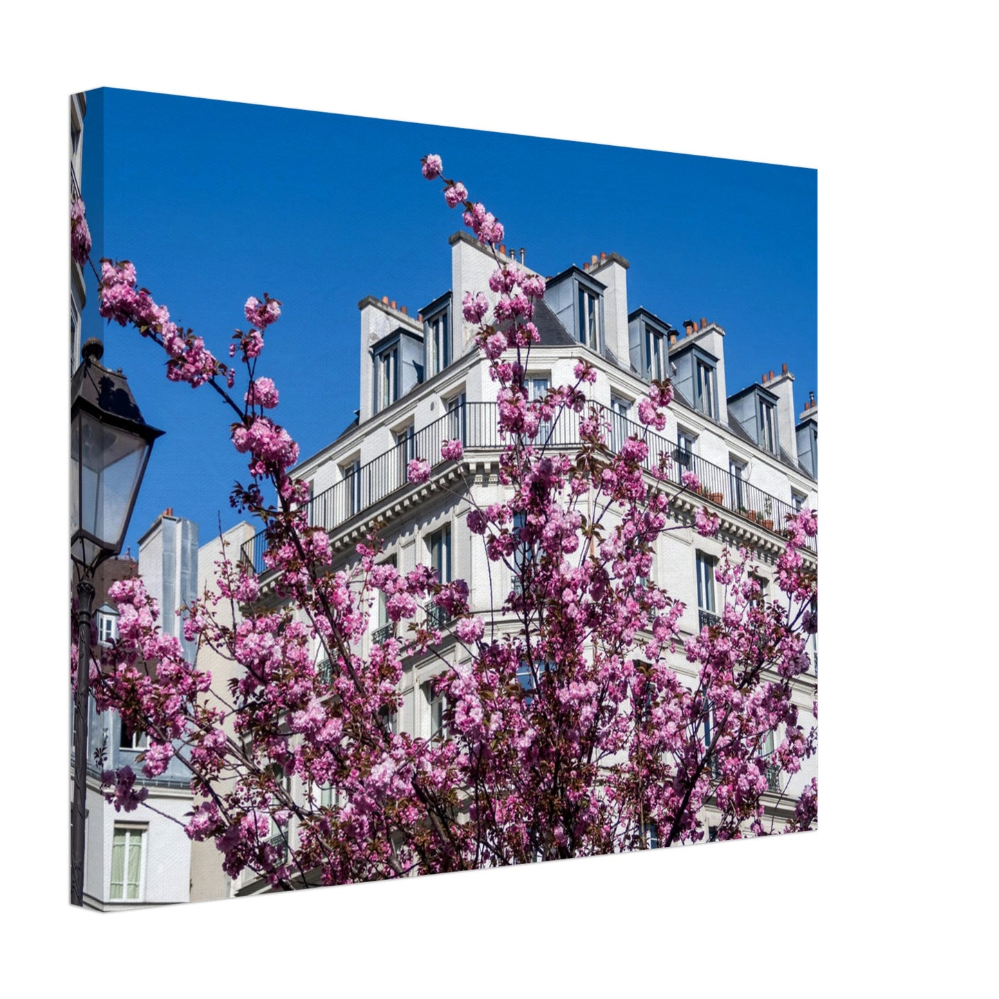 27f3feed-40f3-4d2f-a6f4-fba33329179c