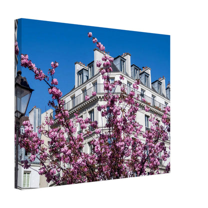 27f3feed-40f3-4d2f-a6f4-fba33329179c