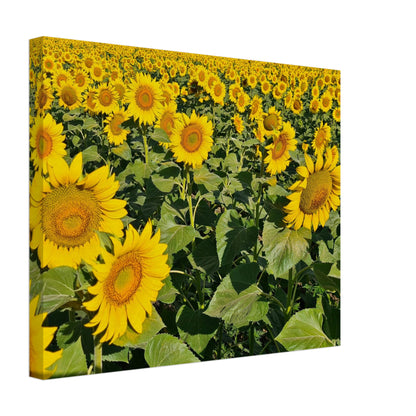 2f271b30-49b5-40a2-bc3c-043238598c5e