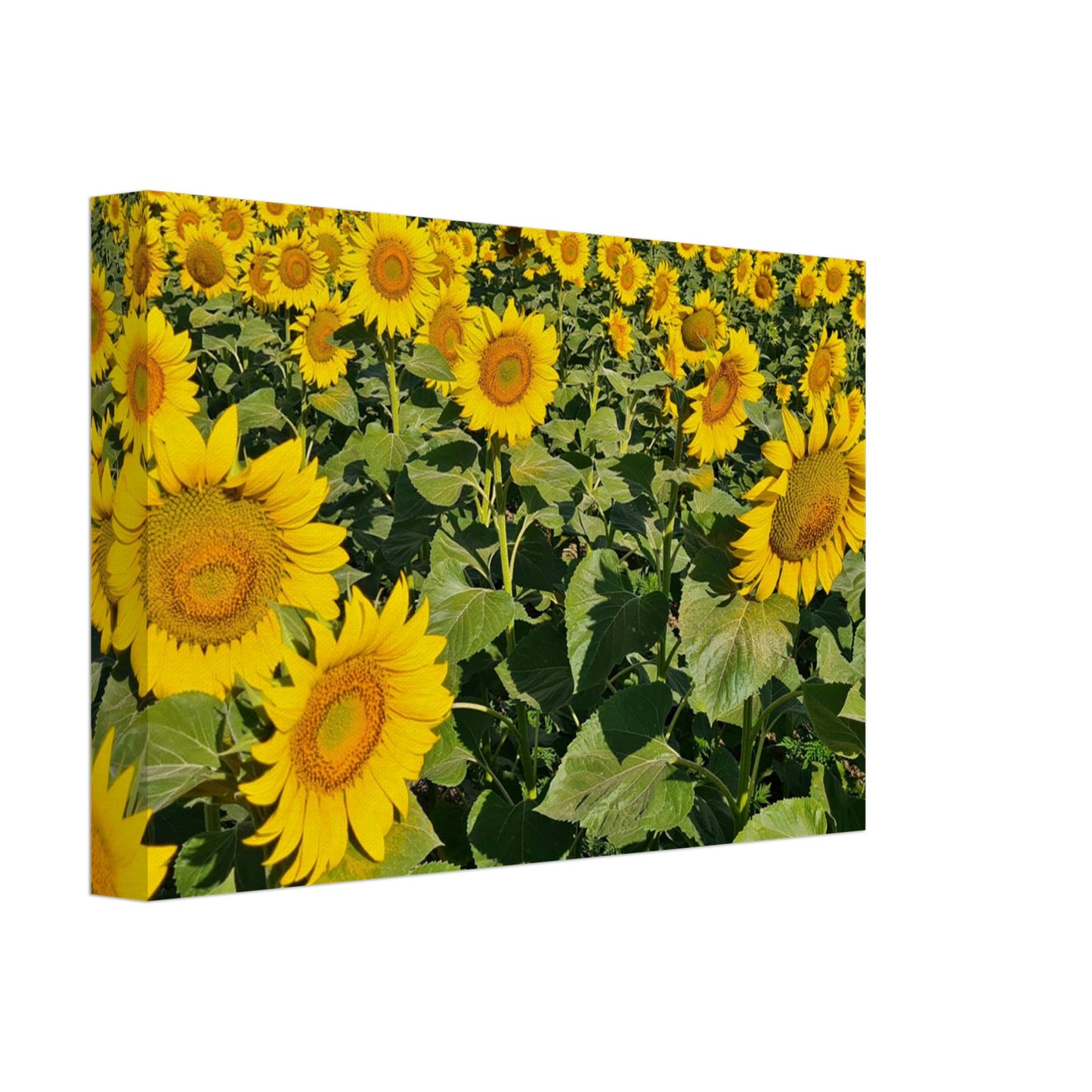 3f18de41-8dd3-41d7-bd85-f623fde7b436