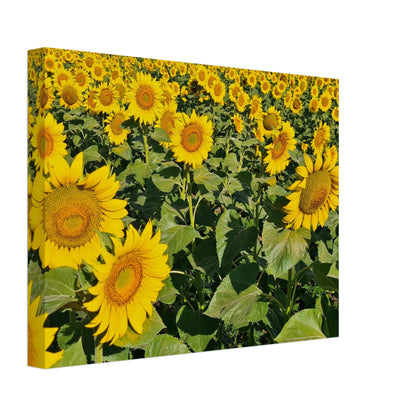 450864d1-7d80-4f9a-9642-dfa15e264139