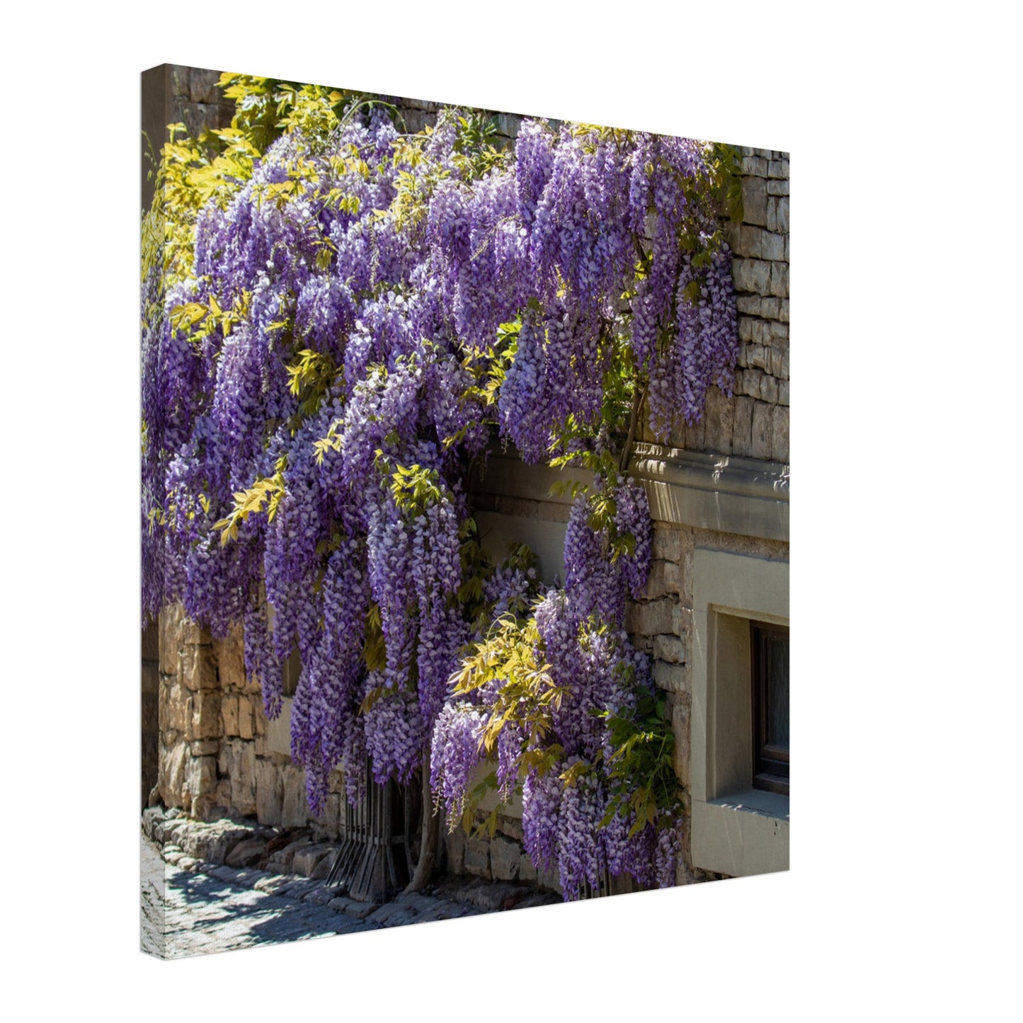 46507b89-cd2a-4b64-a2f5-4a12280e3fa7