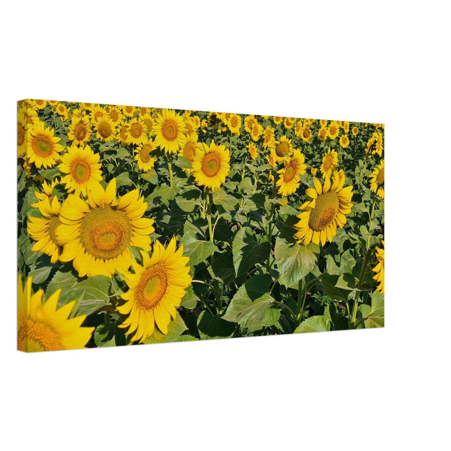 49f7bb28-fa25-4c13-acc2-b7f73bac42be