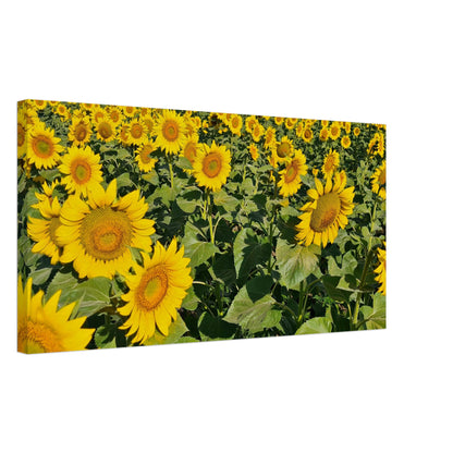 49f7bb28-fa25-4c13-acc2-b7f73bac42be