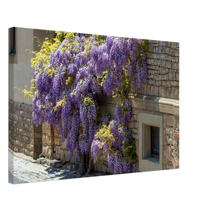 4e7928da-fe39-498f-b626-27db0a2a89f3