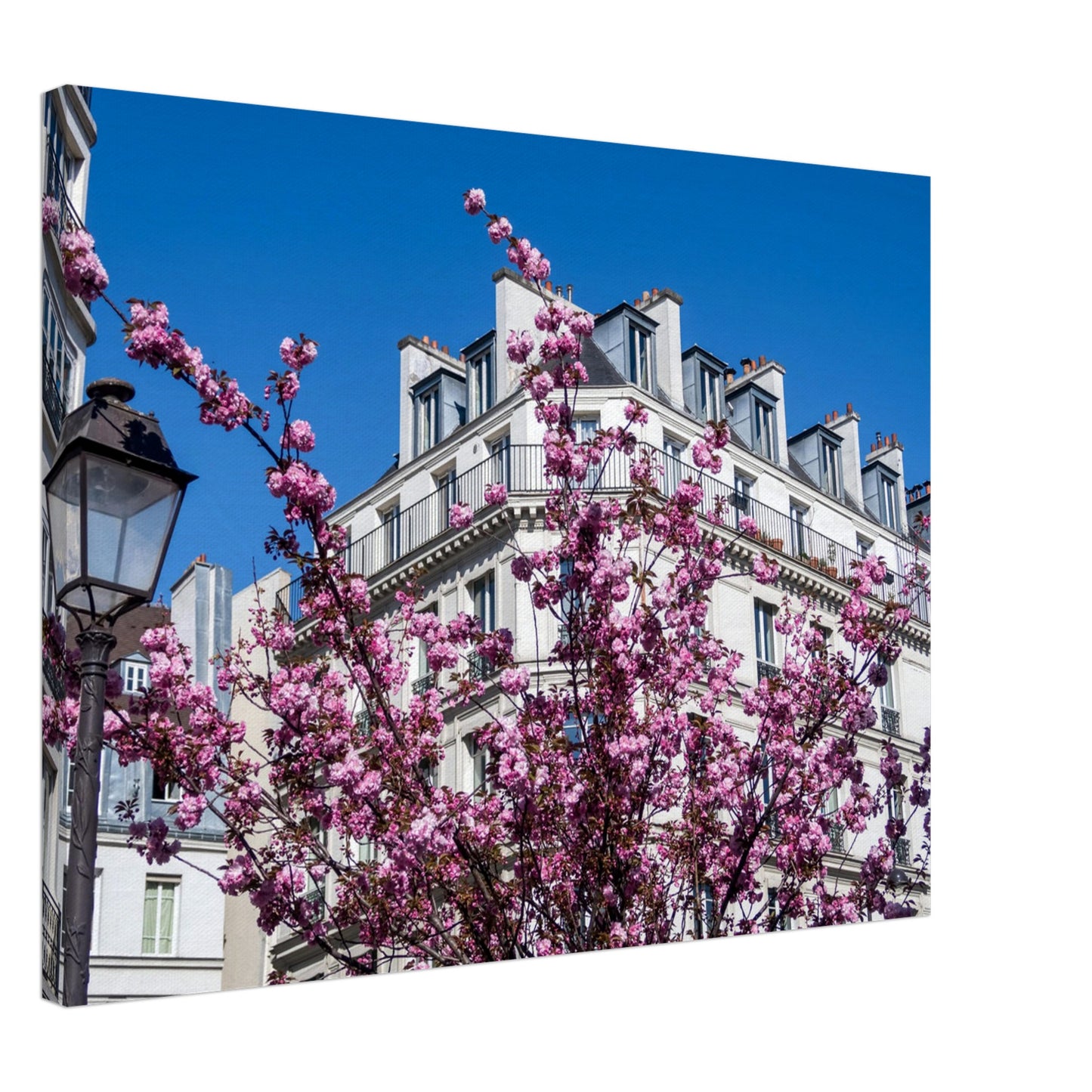 534cfc8d-d12a-45c3-beb5-d40da82852b9