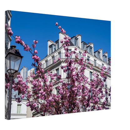 534cfc8d-d12a-45c3-beb5-d40da82852b9