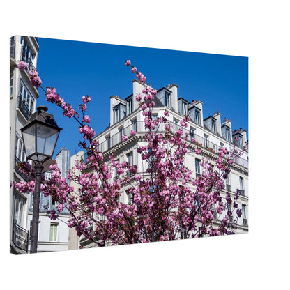 53f2ceb0-9bd8-44d1-a617-4f0aa1014bfe