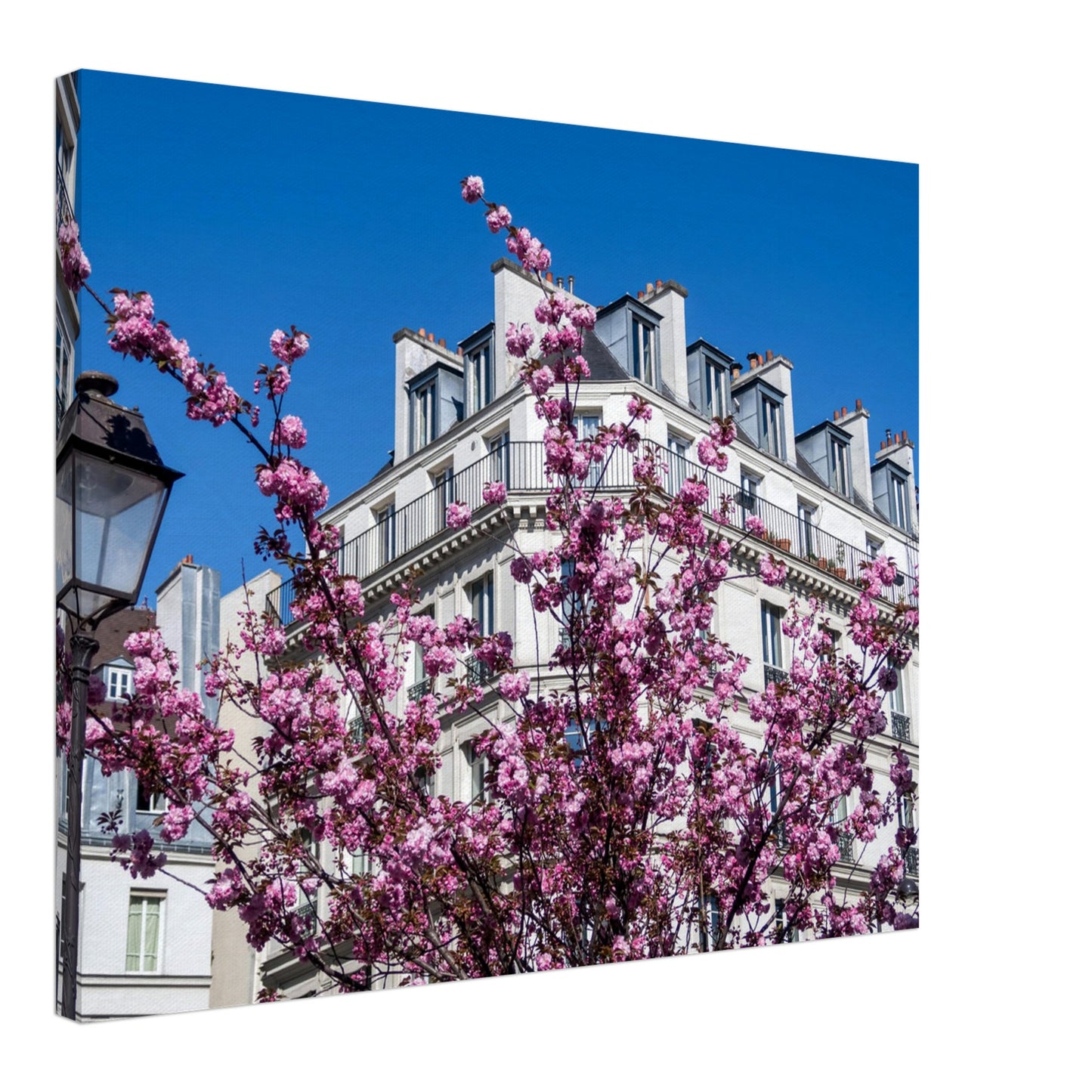 56f7183d-a53c-4fe5-b541-b78664c1589c