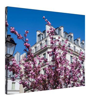 56f7183d-a53c-4fe5-b541-b78664c1589c