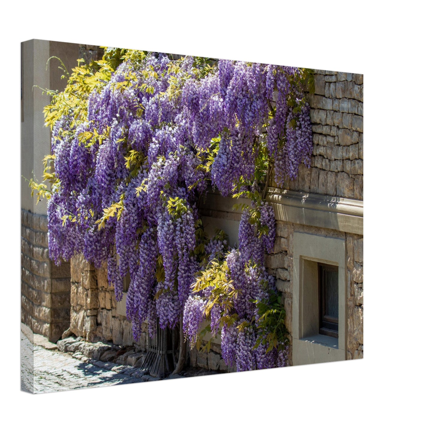 57b868de-854c-4efe-b4de-2717db61751f