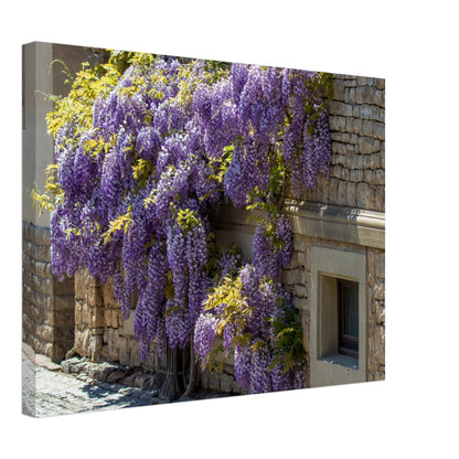 57b868de-854c-4efe-b4de-2717db61751f