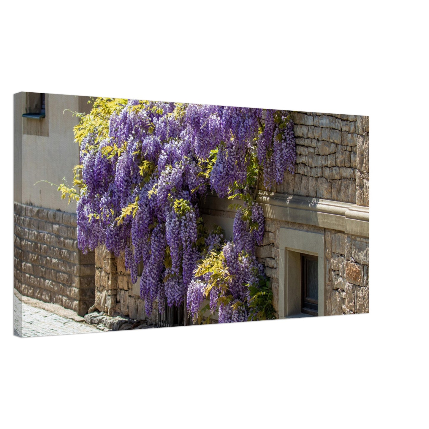 5ca9dc82-2907-41e0-9e7c-7a0f31cb9ed2