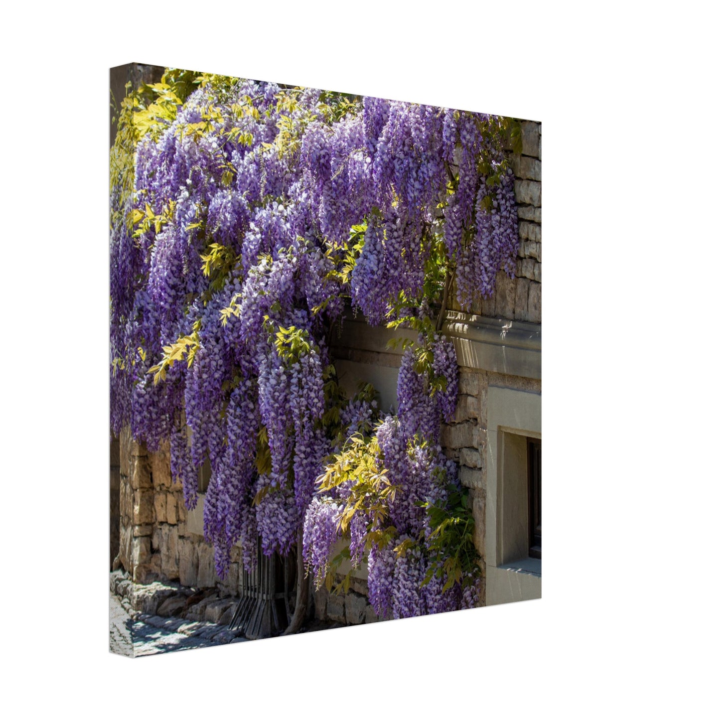 5da94edb-07c5-4adb-aa7c-cfb9b3e23e6a