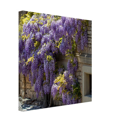 5da94edb-07c5-4adb-aa7c-cfb9b3e23e6a