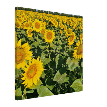 616ef0dc-beba-4362-9df1-946a239e3912