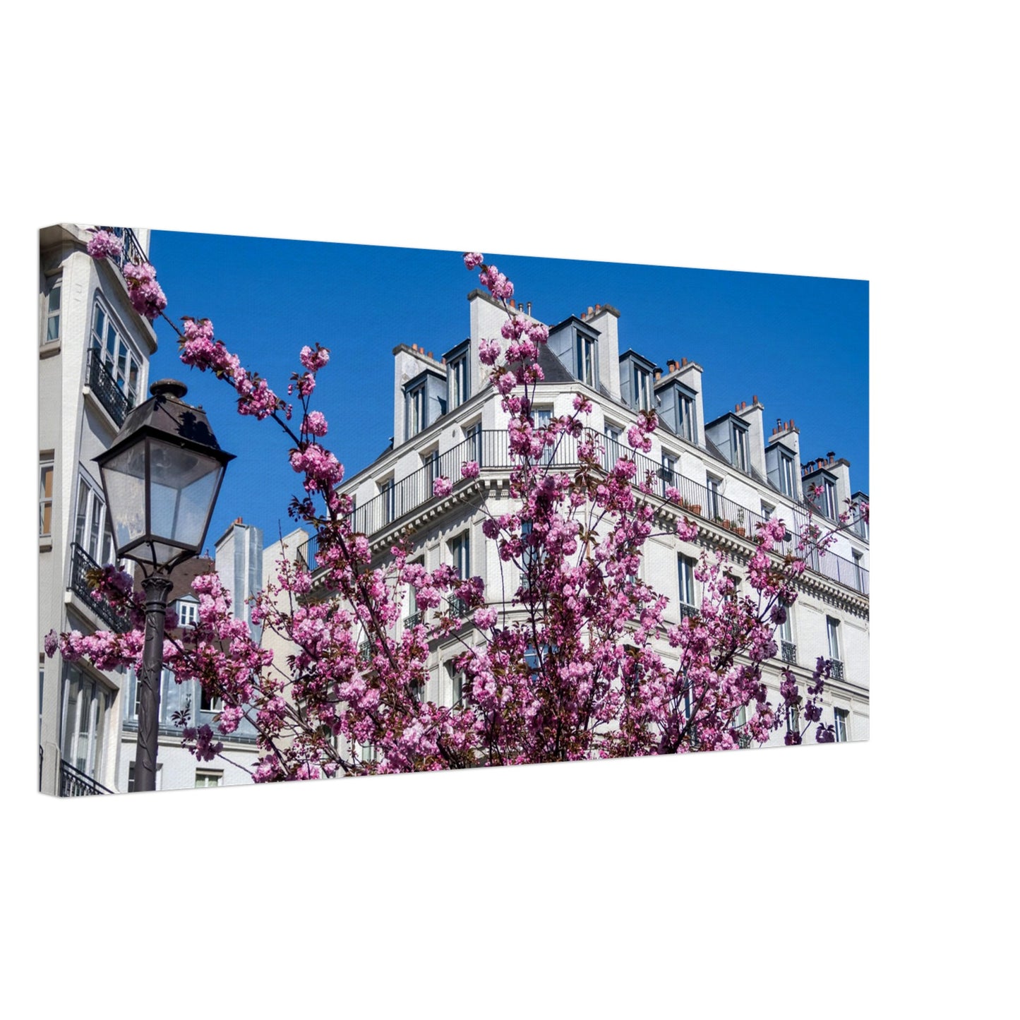 622ad0ca-8f57-4c4a-a443-c8427557e0a6