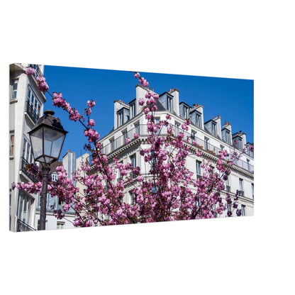 6aab4aa9-a387-4ee4-a38f-d7f7992b19d9