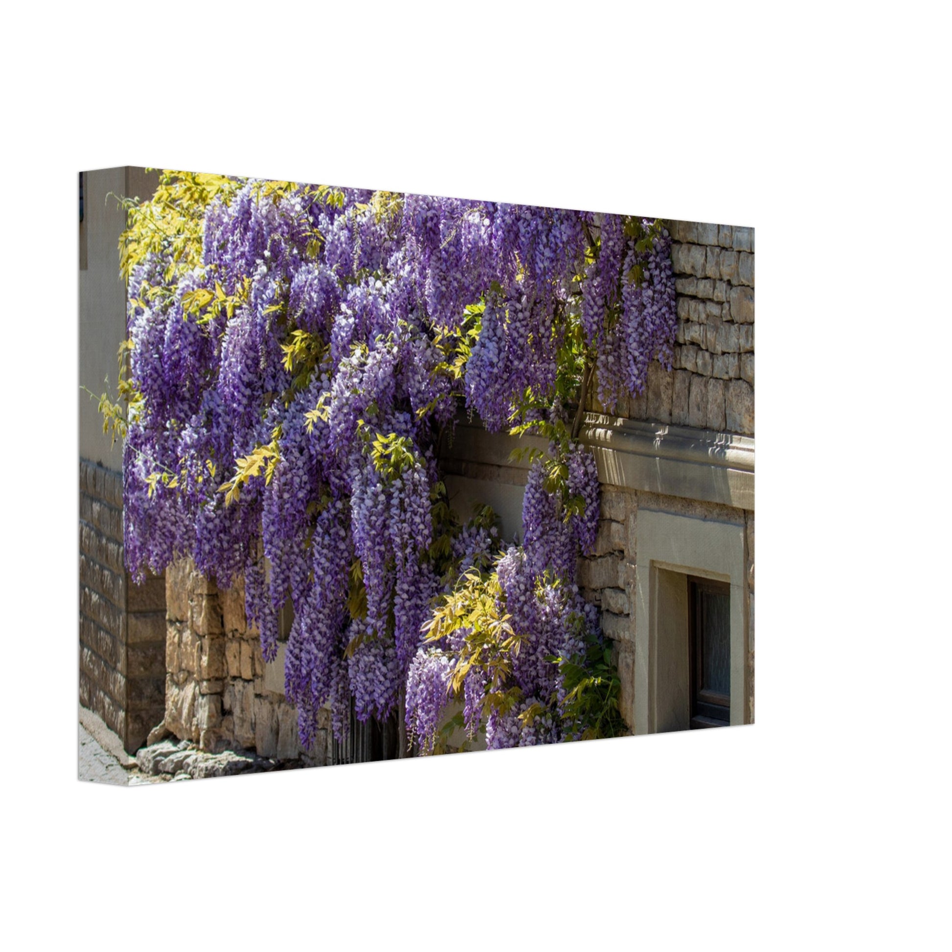 751c376e-0202-49bb-ab9b-16a5e3acc5a5