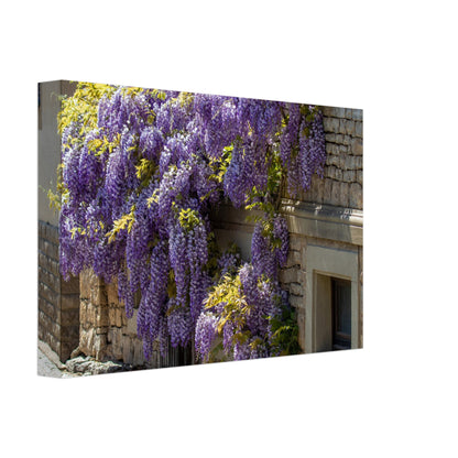 751c376e-0202-49bb-ab9b-16a5e3acc5a5