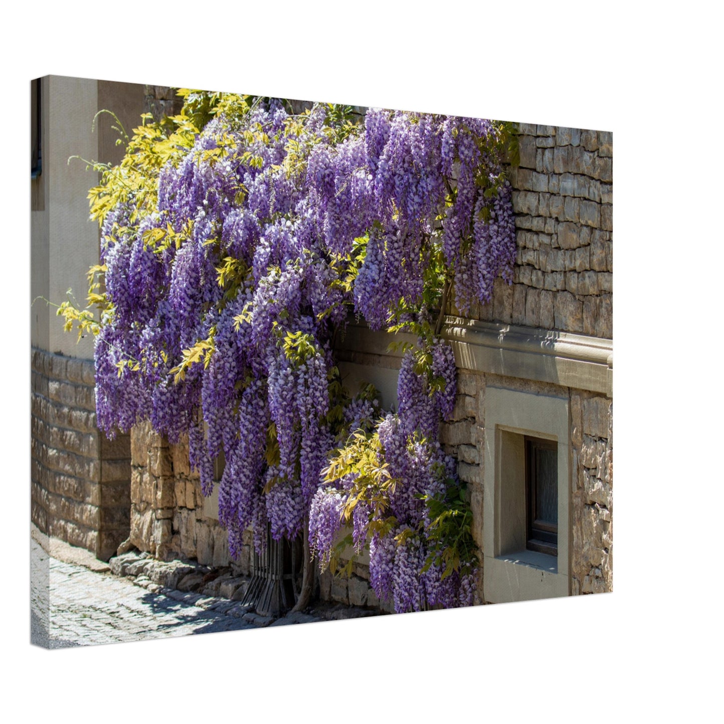 7dd06e5d-2eb5-459b-922b-545dca548f1a