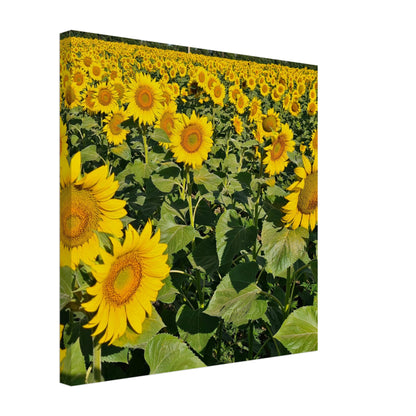 7e6f9205-e726-4fa4-b8e4-8e5b17dedcbf