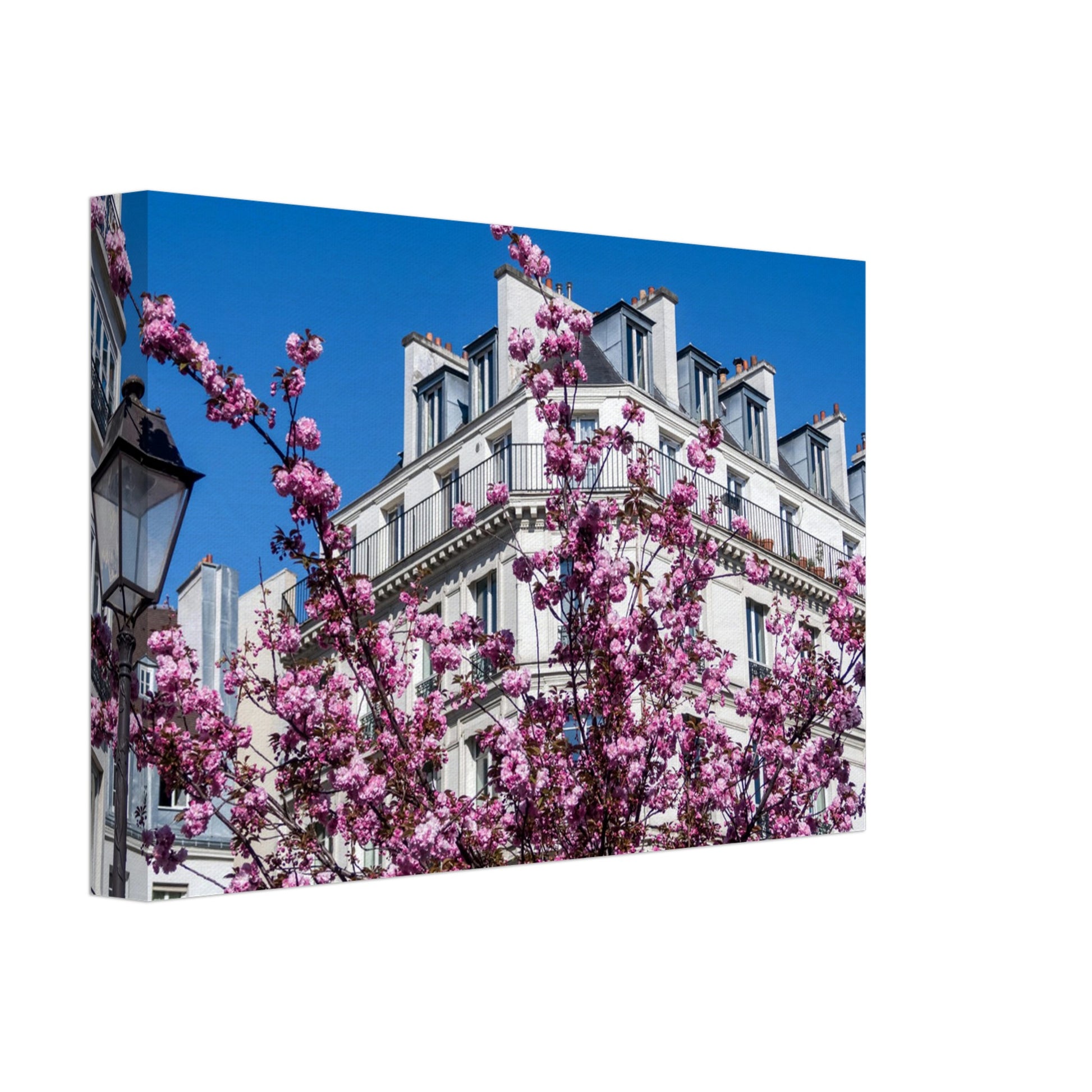 84e14dff-abf0-4029-91f0-93d0a6986441