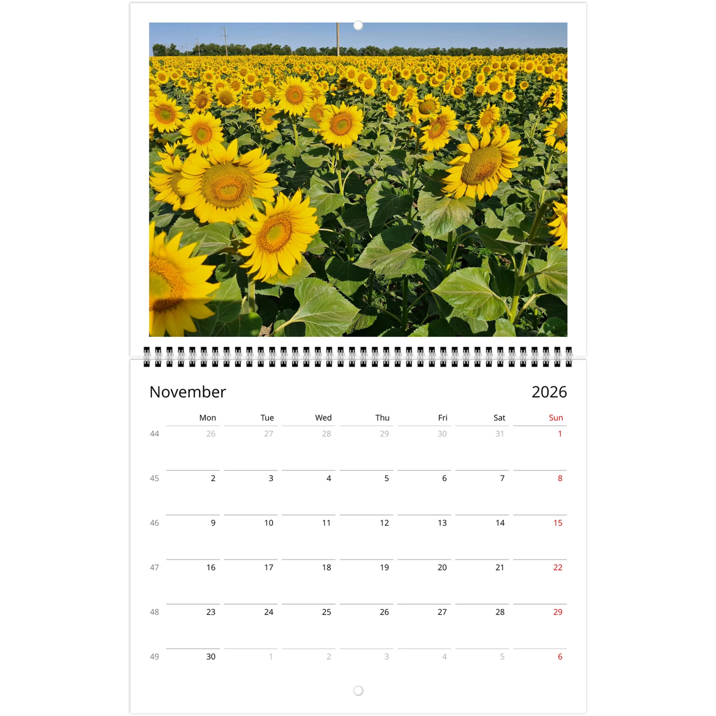 8b931b54-c760-4c1c-89b5-023280149610