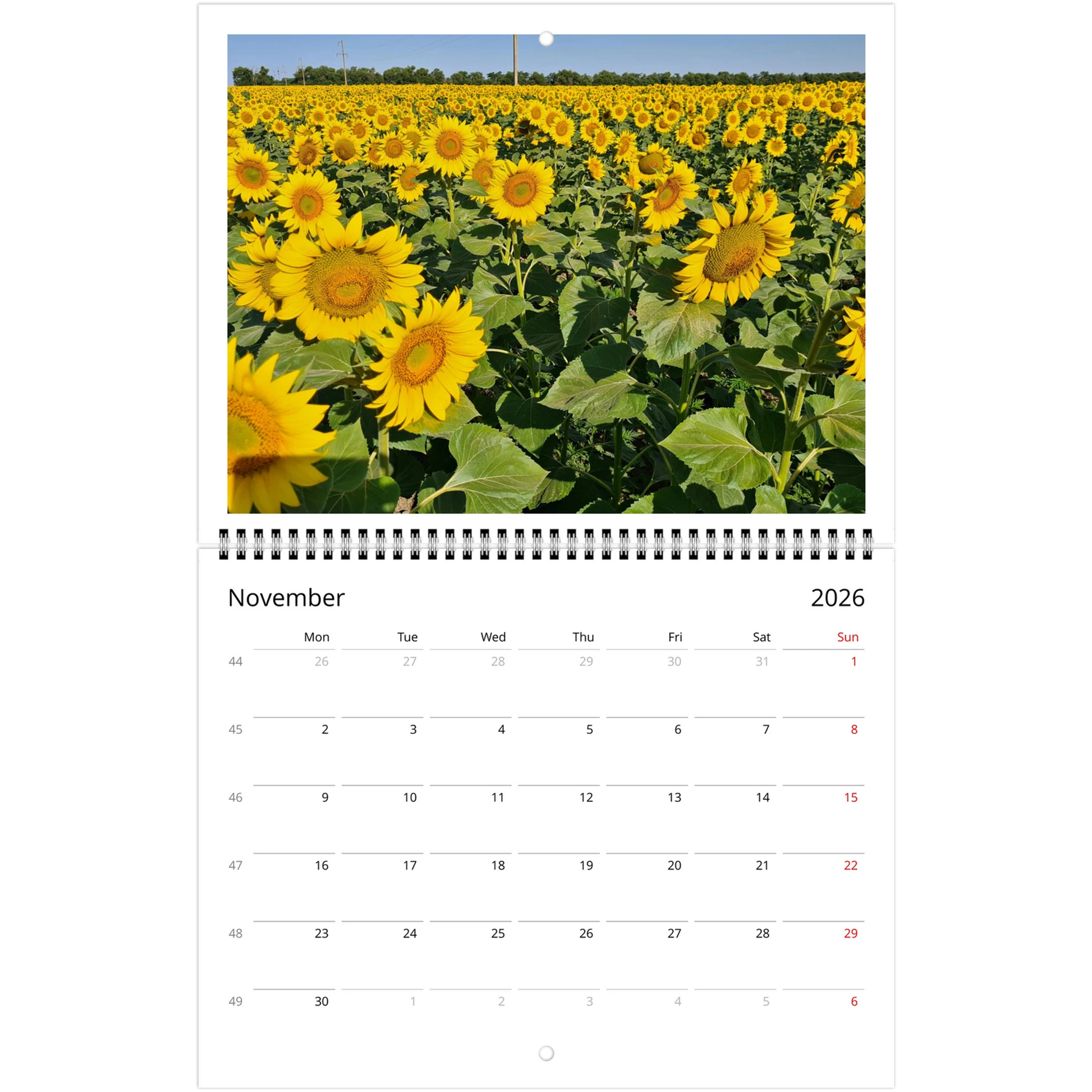 8b931b54-c760-4c1c-89b5-023280149610