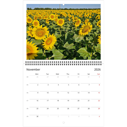 8b931b54-c760-4c1c-89b5-023280149610