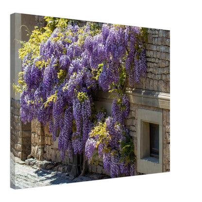 900f47e8-804d-4070-a5ad-a9a29524c911