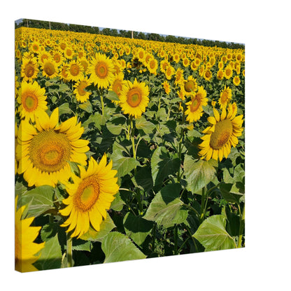 9248297d-c4a8-42df-9a7c-f7db813bd0f0