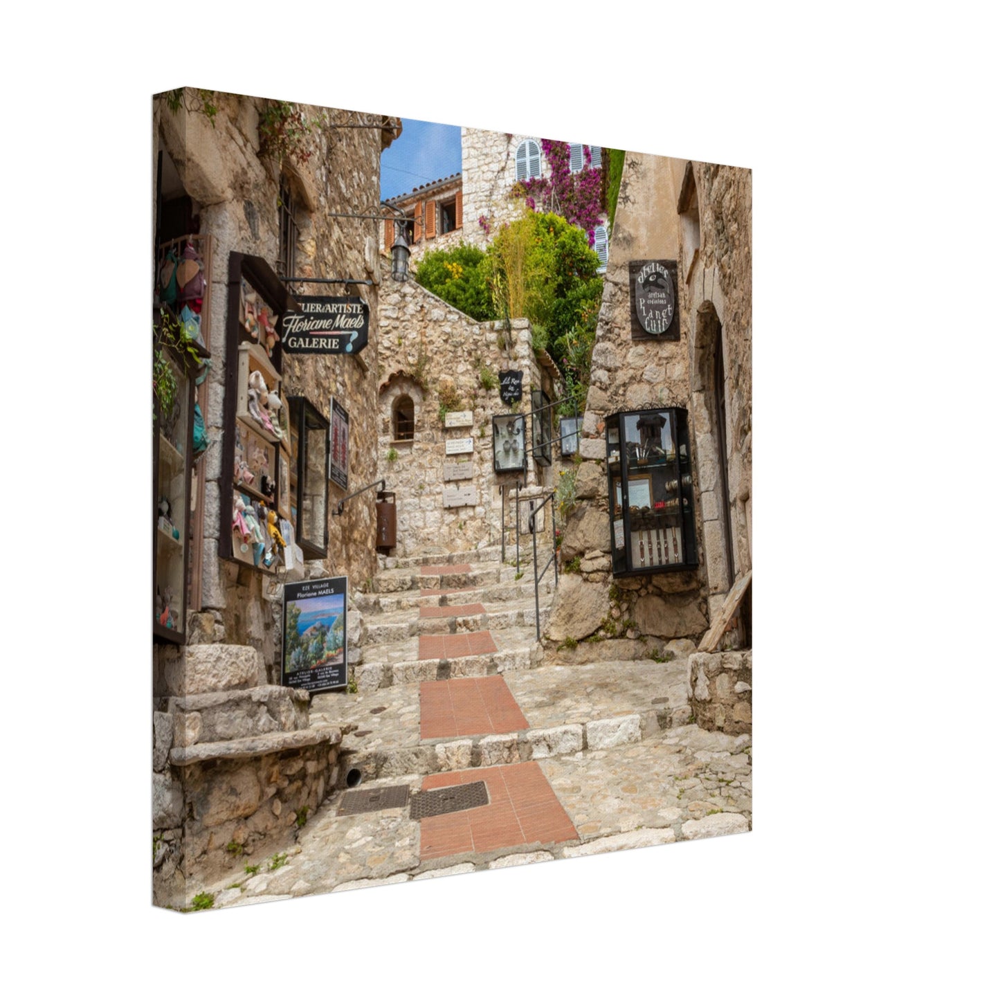 9755862d-0f34-46ce-8cfb-29b4bc7f4bb6